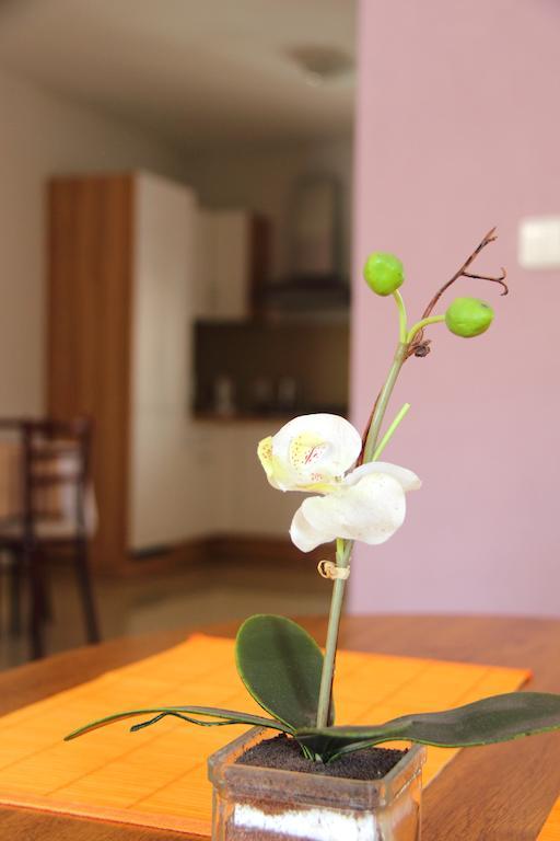 Vila Dravce Cameră foto